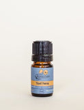 Frankincense, Organic, Essential Oil, 5 mL