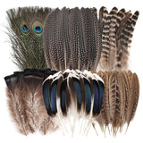 Natural Feathers Bulk - 30PCS - 6 Styles Assorted Natural Feathers, Peacock Feathers, Pheasant Feathers, Turkey Feathers for DIY