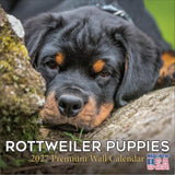 Rottweiler Puppies Calendar 2027 by MegaCalendars - Monthly Dog Breed Wall Calendar, Made in USA