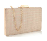 Adisa Women'S Clutch (Gold),Gold,,B0CLJGWT3R