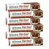Herbodent Herbal Clove Toothpaste - 6.53oz/185g Pack of 6 | Natural Herbs - Clove, Babool, Bakul and More | Daily use Toothpaste