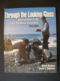 Through the Looking Glass: Observations in the Early Childhood Classroom
