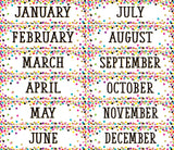 CONFETTI MONTHLY HEADLINERS
