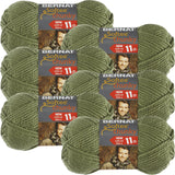 Bernat Softee Chunky Yarn (6Pack) Forest 16112828243
