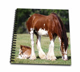3dRose db_80253_2 Clydesdale Mare and Foal Horses Memory Book, 12 by 12Inch