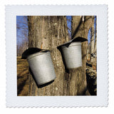 3dRose qs_92429_3 Sugar Maple Trees in Lyme, New Hampshire US30 JMO1582 Jerry and Marcy Monkman Quilt Square, 8 by 8-Inch