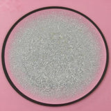2.2LB Weighted Beads for Stuffed Animals Filler for Blankets Pillows Reborn Dolls Shooting Rest Bag DIY of Various Weighted Proj