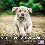 Labrador Pups Yellow Calendar 2026 by MegaCalendars - Monthly Dog Breed Wall Calendar, Made in USA