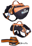 Doghelios Freestyle 3-In-1 Explorer Sporty Fashion Convertible Pet Dog Backpack, Harness And Leash, Large, Orange