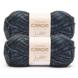 Caron Simply Me Luster Sodalite Yarn - 2 Pack of 170g/6oz - 65% Nylon, 35% Acrylic - #4 Worsted (Medium) - 360 Yards - Knitting/