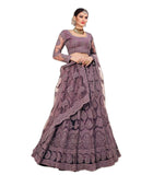Patlani Women'S Net Readymade Lehenga Choli 003_Wine_Free Size
