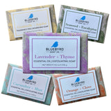 BLUEBYRD Soap Co. 5-Pack Variety Set Exfoliating Essential Oil Soap Bars | 100% Vegan Natural Bar Soap Gift | Cucumber Mint, Goa