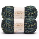 Caron Simply Me Luster Adventurine Yarn - 2 Pack of 170g/6oz - 65% Nylon, 35% Acrylic - #4 Worsted (Medium) - 360 Yards - Knitti