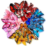 CRAFTEEZY 32 Pcs Butterfly Stickers for Journal Diary Paper DIY Page Decor Scrapbooking Stickers