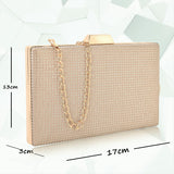 Adisa Women'S Clutch (Gold),Gold,,B0CLJGWT3R