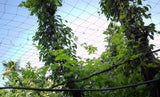 Spicado Traders Plant Climbing Net & Creeper Support For Agriculture And Gardening Netting 6Feet X 12 Feet