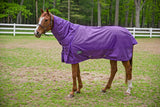 Tuffrider 1680 D Super Comfy Heavy Weight 350 Gms Detachable Neck Blanket- Purple-75