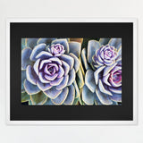 MCS Frame for Puzzles, White, 24 x 30 in or smaller