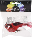 Touch of Nature 20113 Cardinal, 4Inch