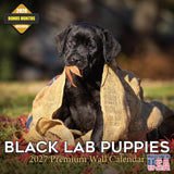 Black Labrador Puppies Calendar 2027 - 16 Month Dog Wall Calendar, Monthly Planner, Large Writing Blocks, Thick No Bleed Paper, 