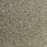 Miyuki Delica 11/0 Seed Beads - Glass Beads Bulk 5 Grams & Size 1.6mm 1000 Pieces Glass Seed Beads Transparent Silver (DB41)