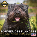 Bouvier Des Flandres Calendar 2027 - 16 Month Dog Wall Calendar, Monthly Planner, Large Writing Blocks, Thick No Bleed Paper, Ma