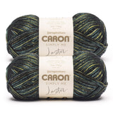 Caron Simply Me Luster Malachite Yarn - 2 Pack of 170g/6oz - 65% Nylon, 35% Acrylic - #4 Worsted (Medium) - 360 Yards - Knitting