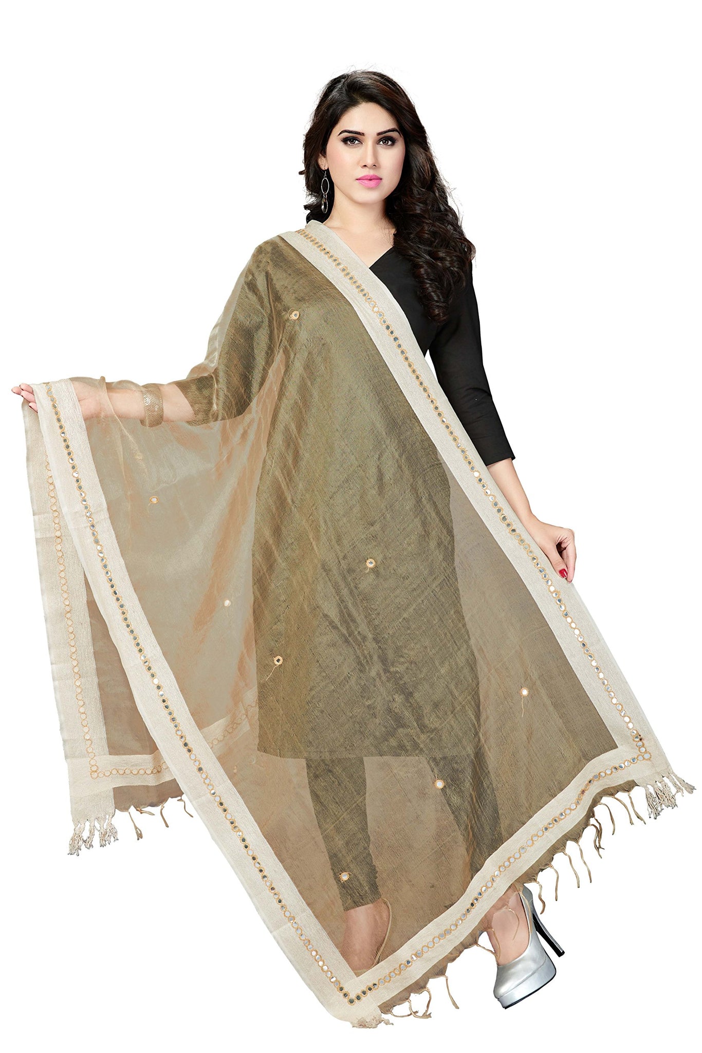 RANI SAAHIBA Bhagalpuri Mirror Work Organza Tissue Dupatta (SKRDD1403_Ecru)