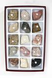 American Educational 15 Piece Sedimentary Rock Collection