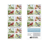 Songbirds in Snow Forever First Class Postage Stamps (20 Stamps) - United States Postal Service