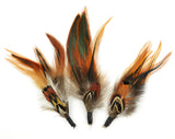 Touch of Nature 3Piece Natural Feather Pick with Nylon Loop for Arts and Crafts, 4.5Inch, Ringneck Pheasant