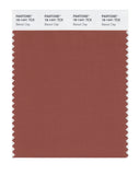 PANTONE Smart 18-1441X Color Swatch Card, Baked Clay