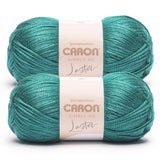 Caron Simply Me Luster Teal Jade Yarn - 2 Pack of 170g/6oz - 65% Nylon, 35% Acrylic - #4 Worsted (Medium) - 360 Yards - Knitting
