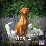 Vizsla Calendar 2026 by MegaCalendars - Monthly Dog Breed Wall Calendar, Made in USA