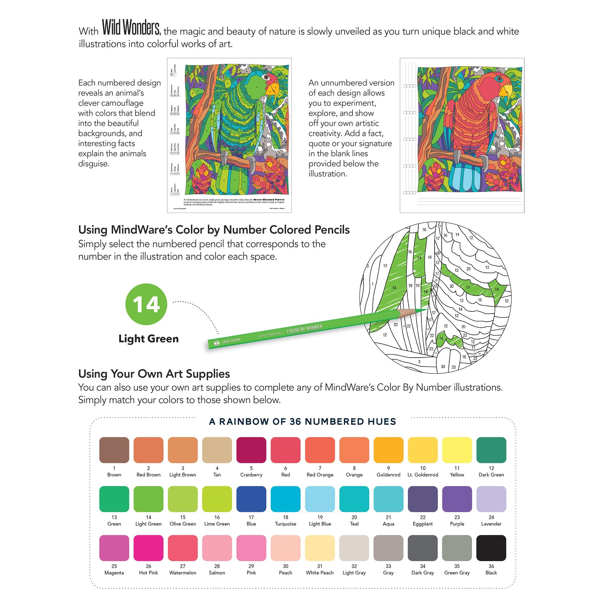Color by Number Wild Wonders (Book 2)
