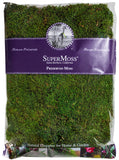 Super Moss 21513 Preserved Sheet Moss, Fresh Green, 16Ounce
