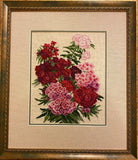 Riolis 1463 - Sweet William - Counted Cross Stitch Kit - 9.5X11.75 14 Count 14 Colors Zweigart 14Ct. Flaxen Aida