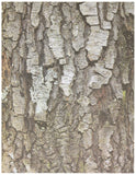 Roylco Terrific Tree Craft Paper (32 Sheets)