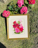 Riolis 1463 - Sweet William - Counted Cross Stitch Kit - 9.5X11.75 14 Count 14 Colors Zweigart 14Ct. Flaxen Aida