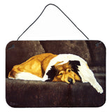 Caroline'S Treasures Collie By Tanya And Craig Amberson Wall Or Door Hanging Prints Amb1031Ds812, 8H X 12W, Multicolor
