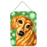 Caroline'S Treasures The Eyes Have It Dachshund Wall Or Door Hanging Prints Amb1414Ds1216, 16Hx12W, Multicolor
