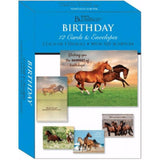 crown Point graphics 164477 Boxed Shared Blessings Wild Horses Birthday card Pack of 12