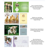 crown Point graphics 169546 Shared Blessings Birthday Fur & Feathers Boxed card 12 per Box