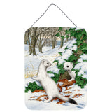 Caroline'S Treasures Stoats Short-Tailed Weasel Wall Or Door Hanging Prints Asa2042Ds1216, 16Hx12W, Multicolor