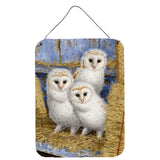 Caroline'S Treasures Barn Owl Chicks Wall Or Door Hanging Prints Asa2076Ds1216, 16Hx12W, Multicolor
