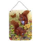 Caroline'S Treasures Red Squirrels Wall Or Door Hanging Prints Asa2133Ds1216, 16Hx12W, Multicolor