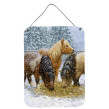 Caroline'S Treasures Shetland Ponies Wall Or Door Hanging Prints Asa2146Ds1216, 16Hx12W, Multicolor