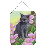 Caroline'S Treasures Chartruex Kitten Wall Or Door Hanging Prints Asa2165Ds1216, 16Hx12W, Multicolor