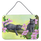 Caroline'S Treasures Chartruex Kittens Wall Or Door Hanging Prints Asa2211Ds812, 8Hx12W, Multicolor