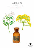 Baobab Aurum Candle